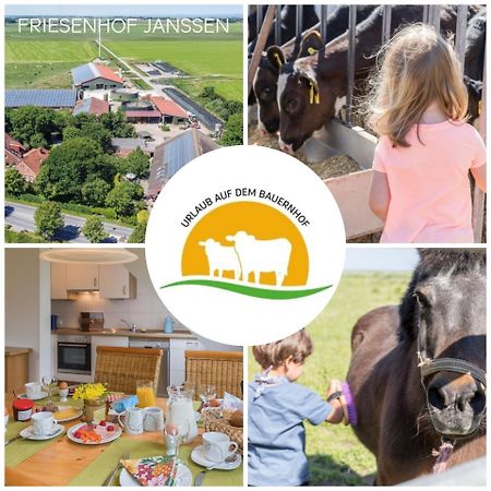 纽哈灵吉塞尔Friesenhof Janssen - Urlaub Auf Dem Bauernhof公寓 外观 照片